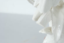 Load image into Gallery viewer, Pair of Porcelain Birds - Chelsea House - Italy