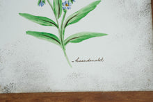 Load image into Gallery viewer, Danish Hand Painted Blue Forget Me Not Floral Ceramic Tile Framed Wall Art