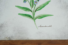 Load image into Gallery viewer, Danish Hand Painted Blue Forget Me Not Floral Ceramic Tile Framed Wall Art