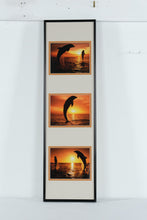 Load image into Gallery viewer, Mark J Thomas Sunset Celebration Bottlenose Dolphins Framed Photo Triptych