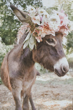 Load image into Gallery viewer, Rustic Donkey with Floral Crown Wooden Wall Art – 11.75" x 19.5" Farmhouse Animal Print Plaque