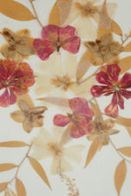 Load image into Gallery viewer, Sally Dowdy Framed Pressed Flower Art Pair Botanical Wall Decor 11x14