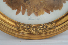 Load image into Gallery viewer, Framed Real Pressed Flower Botanical Art Ornate Gold Oval Frame 12 Inch