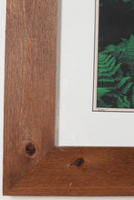 Load image into Gallery viewer, Eden - Framed Photograph - G Newton