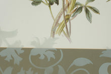 Load image into Gallery viewer, Lexington Home Accessories Botanical Wall Art Set Gold Frame LX1 1014B Pair