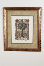 Load image into Gallery viewer, Pair Framed Palm Tree Botanical Engravings Classical Style Prints 25 x 29