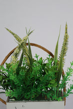 Load image into Gallery viewer, Fake Plant Grass Box Wall Art