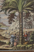 Load image into Gallery viewer, Farming Around the Palm - Framed Print