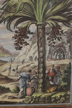 Load image into Gallery viewer, Farming Around the Palm - Framed Print