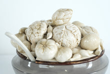 Load image into Gallery viewer, Fitz and Floyd “Carrington” Covered Tureen with Ladle – Handcrafted Ceramic Centerpiece