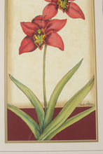 Load image into Gallery viewer, Framed Lilly Print - Artist Signed