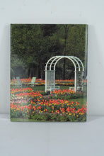 Load image into Gallery viewer, Gardens & Landscapes of Virginia – Photography by Richard Cheek | Text by Rudy J. Favretti