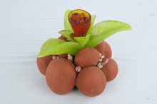 Load image into Gallery viewer, Helen Otterson Eclore Clay and Glass Sculpture Botanical Studio Art 1997