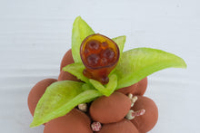 Load image into Gallery viewer, Helen Otterson Eclore Clay and Glass Sculpture Botanical Studio Art 1997