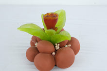 Load image into Gallery viewer, Helen Otterson Eclore Clay and Glass Sculpture Botanical Studio Art 1997
