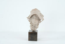 Load image into Gallery viewer, Heath King 1978 Signed Sculpture Woman Bonnet Bust Limited Edition 23 of 100