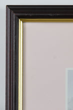 Load image into Gallery viewer, “Hillside Villas – Framed Print by Jean Coleman | Mediterranean Revival Florida Scene”