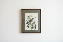 Load image into Gallery viewer, Charles G McLaurin Bird Painting Original Signed Wildlife Art North Carolina