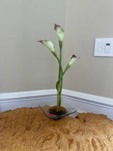 Load image into Gallery viewer, Caithness Botanical Gardens Calla Lily Art Glass Vase Sculpture Square Base