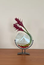 Load image into Gallery viewer, Contemporary Art Glass Vase Heliconia Flower CT Botanical Designs Studio Glass