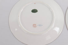 Load image into Gallery viewer, Set of 4 Vintage Richard Ginori Hand-Painted Floral Plates β Italy, 8.5" Porcelain with Gilt Trim