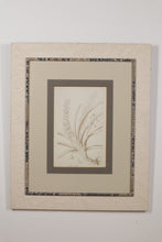 Load image into Gallery viewer, Botanical Flora II 29 x 35 John Richard