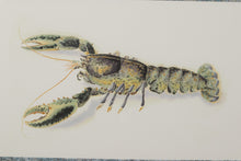 Load image into Gallery viewer, 38 x 26 Lobster John Richard
