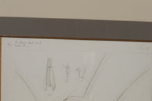 Load image into Gallery viewer, Botanical Flora I 29 x 35 John Richard