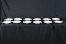 Load image into Gallery viewer, Kate Spade New York June Lane Lenox China Service for 12 Platinum Complete Set USA
