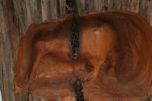 Load image into Gallery viewer, Hand-Carved Kiwi Bird Relief Sculpture in New Zealand Kauri Wood