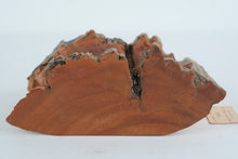 Load image into Gallery viewer, Hand-Carved Kiwi Bird Relief Sculpture in New Zealand Kauri Wood