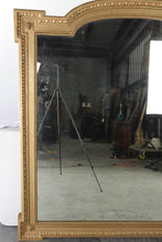 Load image into Gallery viewer, Lage Gold Lion Mirror - 57" x 62"