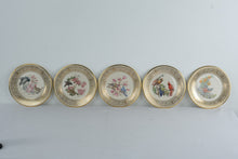 Load image into Gallery viewer, Lenox Boehm Birds Limited Edition Collector Plates Set Gold Rim Made in USA