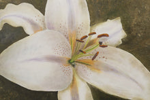 Load image into Gallery viewer, Lilly Oil Painting by Christel Wilps