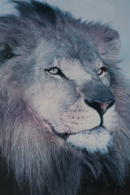 Load image into Gallery viewer, Large Framed Lion Portrait Wall Art – Majestic Wildlife Print in Black & Gold Frame – 31.25 x 41.5
