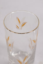 Load image into Gallery viewer, Vintage Gold Wheat Highball Glasses Set of 8 With Gold Rim