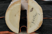 Load image into Gallery viewer, Michael Joerling Monumental Hand Carved Wood Sculpture Organic Modern Contemporary 86 Inch
