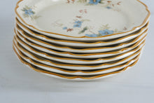 Load image into Gallery viewer, Mikasa Garden Club Day Dreams EC461 Dinner Plates Set of 8 Japan Vintage