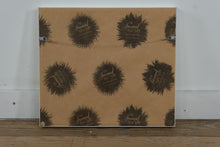 Load image into Gallery viewer, Sharon Montrose “Baby Monkey No. 2” Photographic Print – Framed Animal Art, 16 x 14