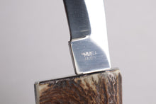 Load image into Gallery viewer, Muela Stag Handle Hunting Knife - Spain