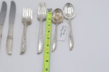 Load image into Gallery viewer, Wm A Rogers Oneida Meadowbrook Silverplate Flatware 11 Piece Set 1936