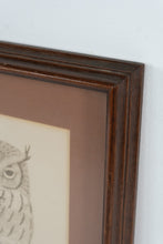 Load image into Gallery viewer, Charles G McLaurin Owl Etching Limited Print 1977 Framed North Carolina Artist