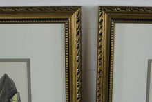 Load image into Gallery viewer, Vintage Audubon Style Bird Botanical Prints Framed Pair Gold Frames 17 x 21