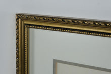 Load image into Gallery viewer, Vintage Audubon Style Bird Botanical Prints Framed Pair Gold Frames 17 x 21