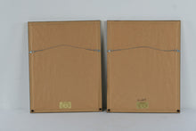 Load image into Gallery viewer, Vintage Audubon Style Bird Botanical Prints Framed Pair Gold Frames 17 x 21