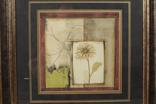 Load image into Gallery viewer, Pair of Daisy Prints in Fancy Frames - 30" x 32"