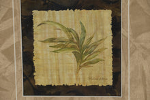 Load image into Gallery viewer, Set of 2 Framed Tropical Palm Prints – “Palma Folium” & “Pinang Raja” – Textured Botanical Wall Art