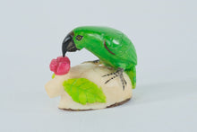 Load image into Gallery viewer, Parrot Eating on a Rock - Panama