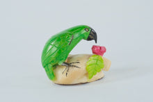 Load image into Gallery viewer, Parrot Eating on a Rock - Panama