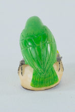 Load image into Gallery viewer, Parrot Eating on a Rock - Panama